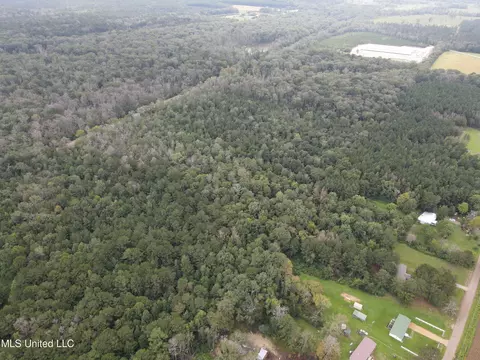 Ms-35, Forest, MS 39074 photo 20