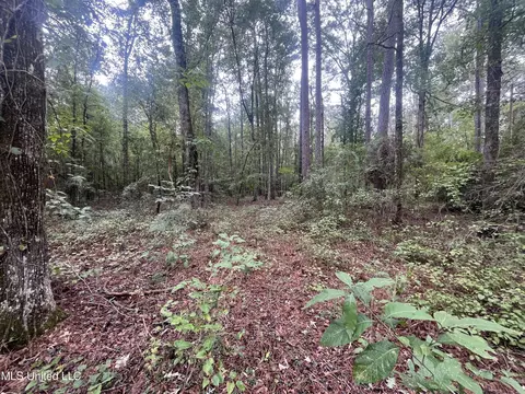 Ms-35, Forest, MS 39074 photo 13