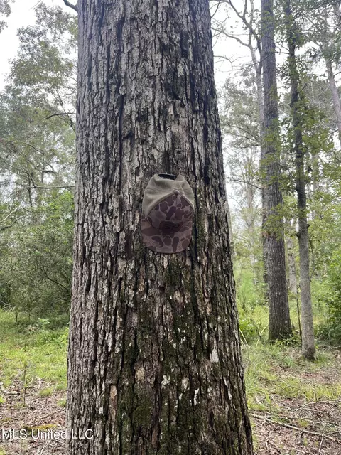 Ms-35, Forest, MS 39074 photo 16