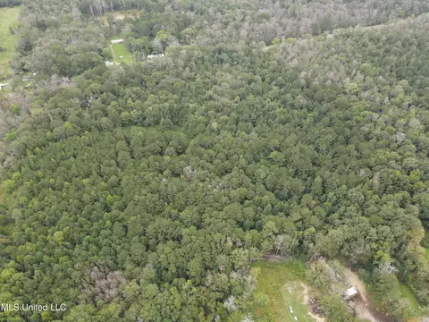 Ms-35, Forest, MS 39074 photo 19
