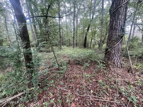 Ms-35, Forest, MS 39074 photo 8