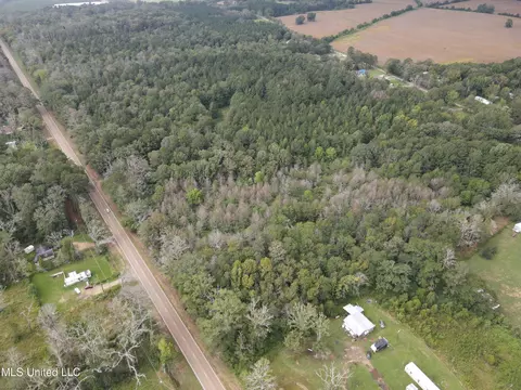 Ms-35, Forest, MS 39074 photo 35