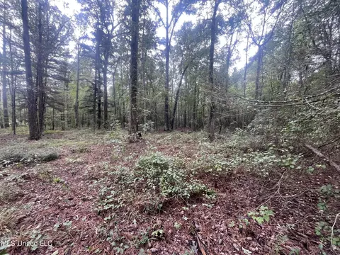 Ms-35, Forest, MS 39074 photo 15