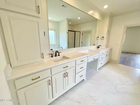 Bath - 351 Wellstone Pl, Madison, MS 39110 photo 2 of 9