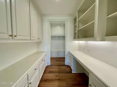 Other - 351 Wellstone Pl, Madison, MS 39110 photo 7 of 17