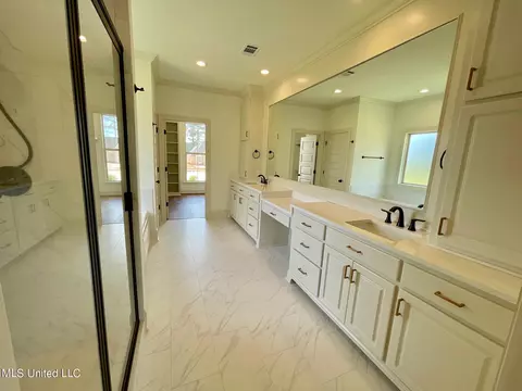 Bath - 351 Wellstone Pl, Madison, MS 39110 photo 3 of 9