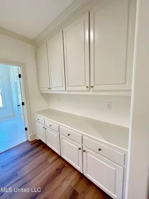 Other - 351 Wellstone Pl, Madison, MS 39110 photo 12 of 17