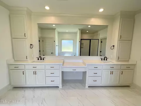 Bath - 351 Wellstone Pl, Madison, MS 39110 photo 1 of 9