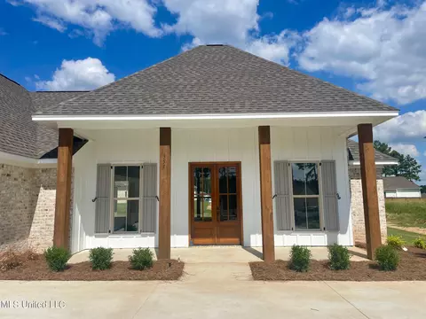 Exterior - 351 Wellstone Pl, Madison, MS 39110 photo 4 of 9