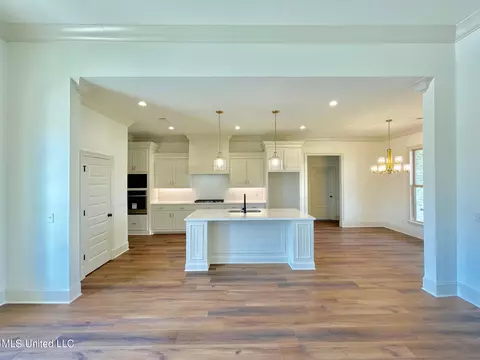 Other - 351 Wellstone Pl, Madison, MS 39110 photo 1 of 17