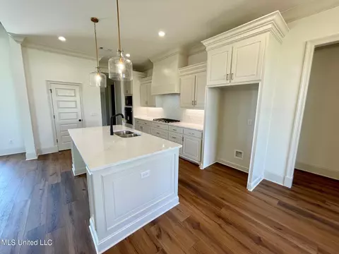 Kitchen - 351 Wellstone Pl, Madison, MS 39110 photo 5 of 8