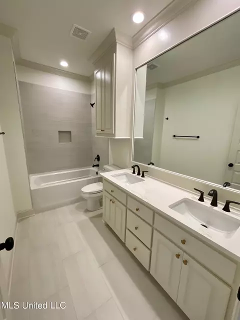 Bath - 351 Wellstone Pl, Madison, MS 39110 photo 6 of 9