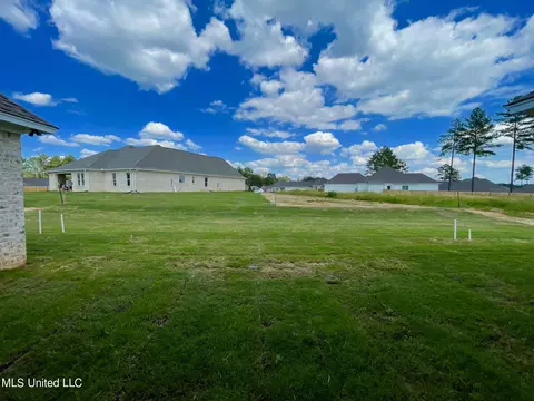 Exterior - 351 Wellstone Pl, Madison, MS 39110 photo 5 of 9