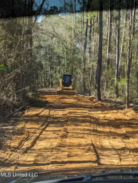 Borzik Road, Saucier, MS 39574