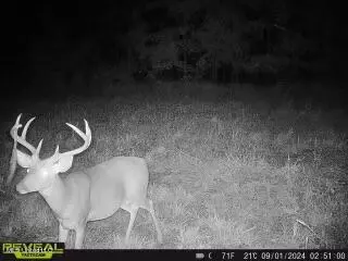 James Rd, Pocahontas, MS 39209 photo 19