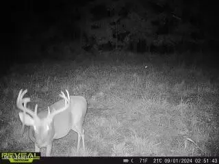 James Rd, Pocahontas, MS 39209 photo 34