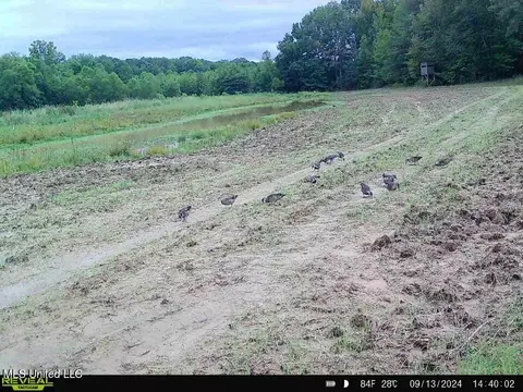 James Rd, Pocahontas, MS 39209 photo 33