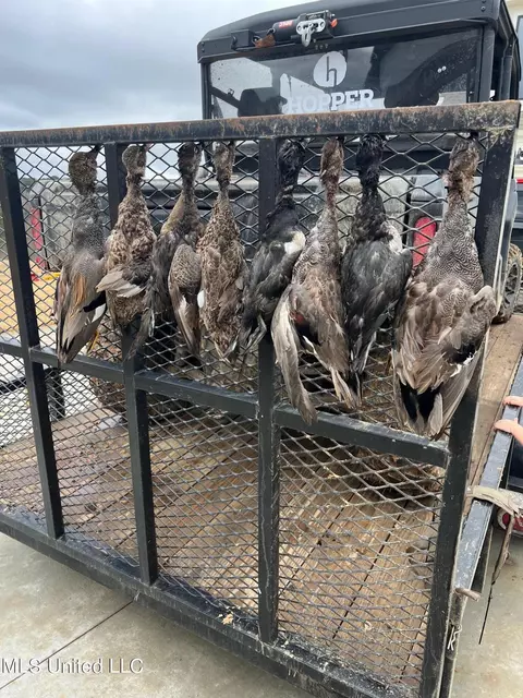 James Rd, Pocahontas, MS 39209 photo 8