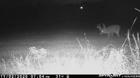 James Rd, Pocahontas, MS 39209 photo 28