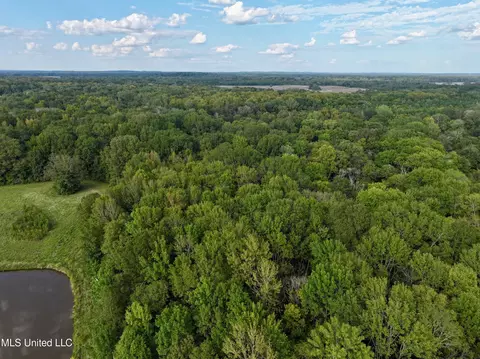 James Rd, Pocahontas, MS 39209 photo 12