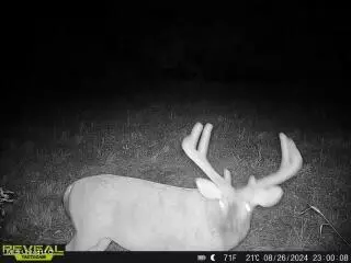 James Rd, Pocahontas, MS 39209 photo 10
