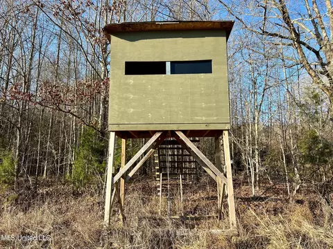 James Rd, Pocahontas, MS 39209 photo 6