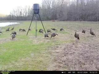 James Rd, Pocahontas, MS 39209 photo 9
