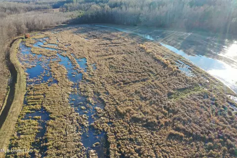 James Rd, Pocahontas, MS 39209 photo 20