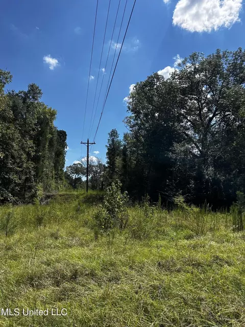 00 Jack Rd, Utica, MS 39175 photo 10