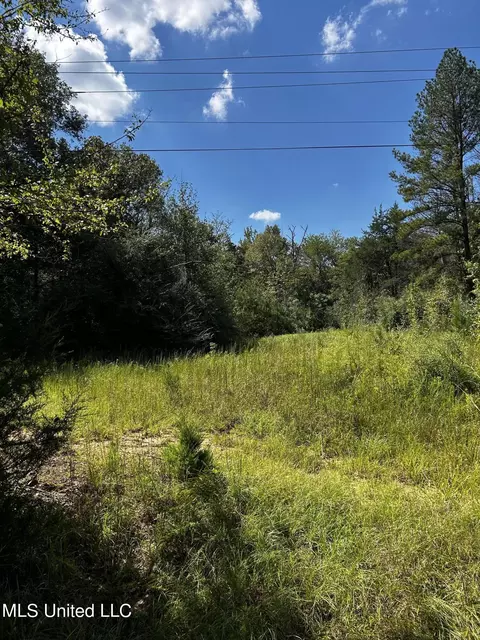 00 Jack Rd, Utica, MS 39175 photo 11