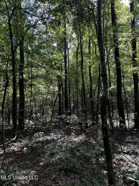 00 Jack Rd, Utica, MS 39175 photo 12