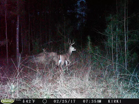 00 Jack Rd, Utica, MS 39175