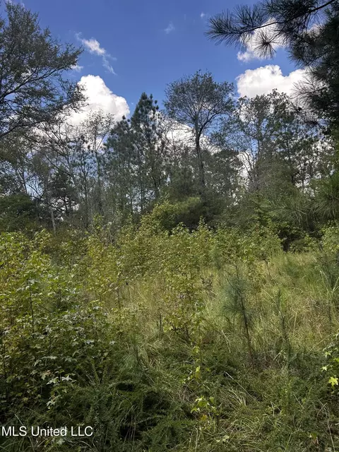 00 Jack Rd, Utica, MS 39175 photo 21