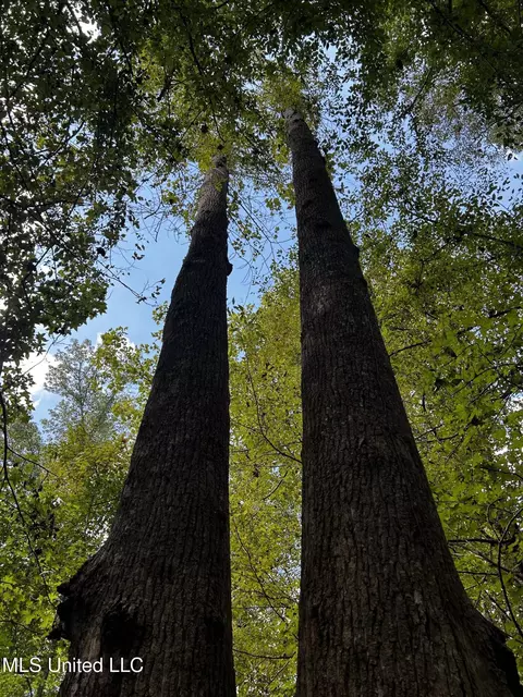 00 Jack Rd, Utica, MS 39175 photo 6