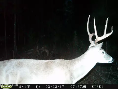 00 Jack Rd, Utica, MS 39175 photo 2