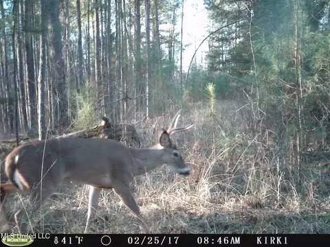 00 Jack Rd, Utica, MS 39175 photo 3