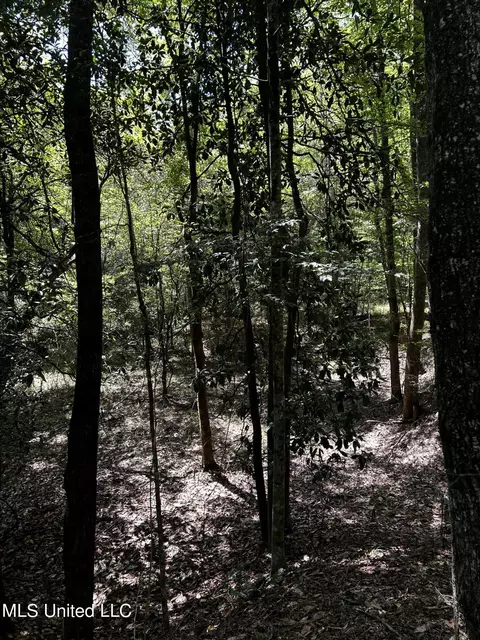 00 Jack Rd, Utica, MS 39175 photo 18