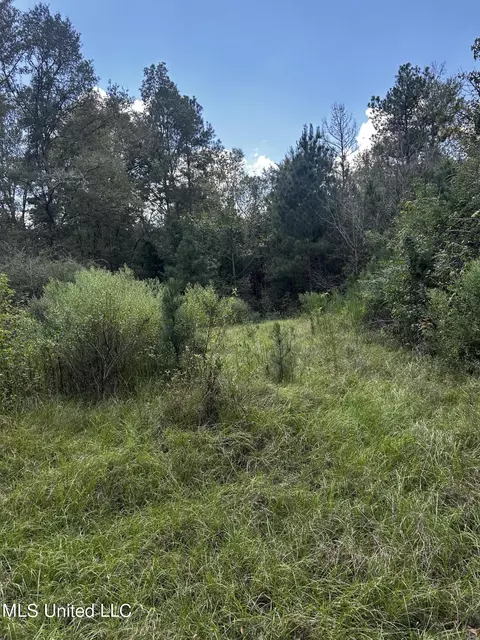 00 Jack Rd, Utica, MS 39175 photo 25