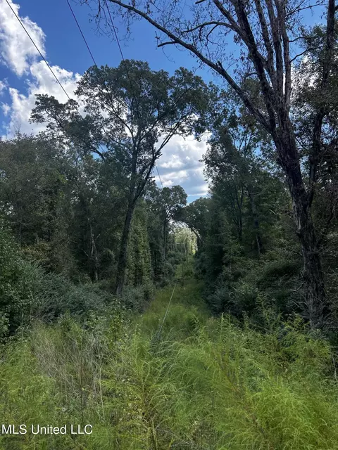 00 Jack Rd, Utica, MS 39175 photo 24