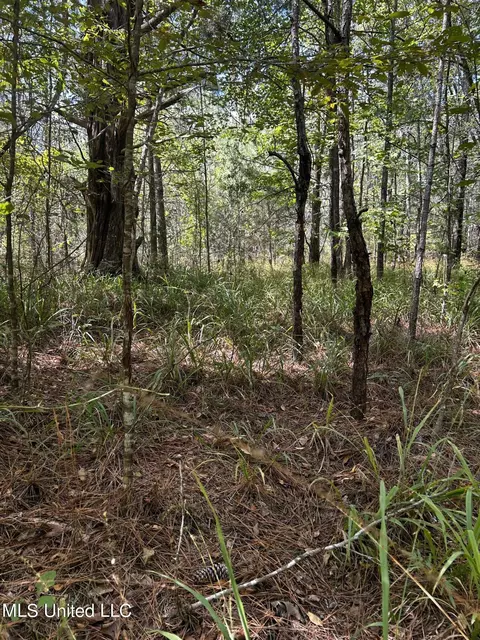 00 Jack Rd, Utica, MS 39175 photo 20