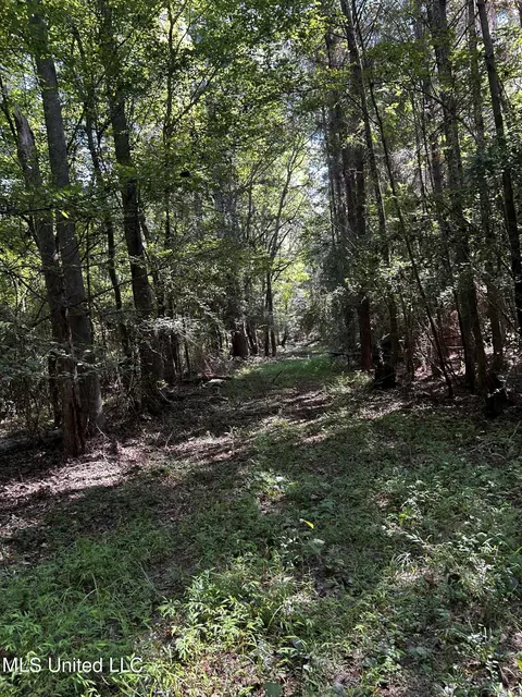 00 Jack Rd, Utica, MS 39175 photo 9