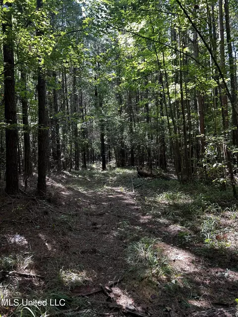 00 Jack Rd, Utica, MS 39175 photo 8