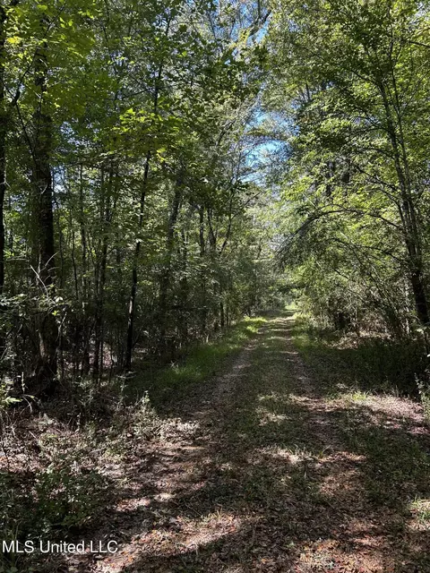 00 Jack Rd, Utica, MS 39175 photo 7