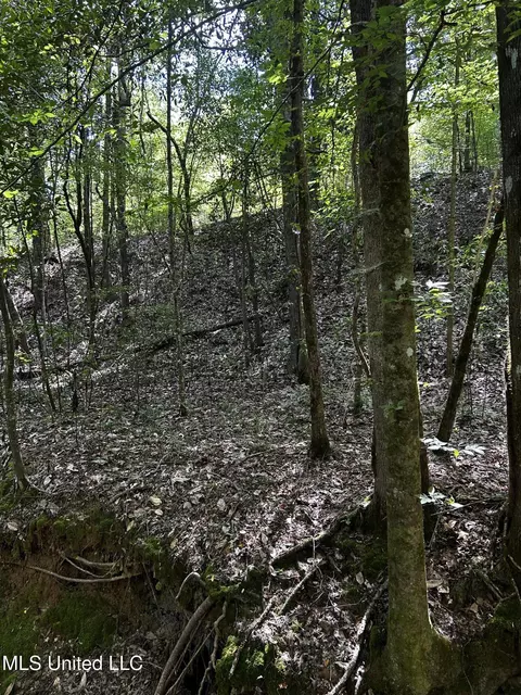 00 Jack Rd, Utica, MS 39175 photo 14