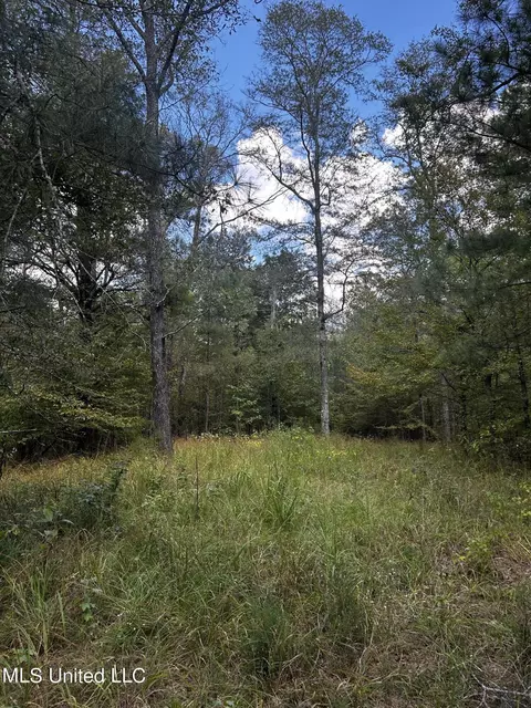00 Jack Rd, Utica, MS 39175 photo 22