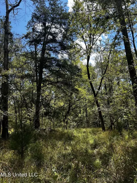 00 Jack Rd, Utica, MS 39175 photo 13