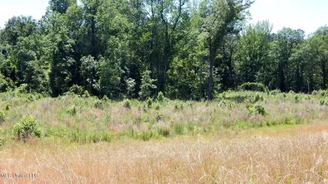 206 Hugh White State Park Rd, Grenada, MS 38901 photo 12