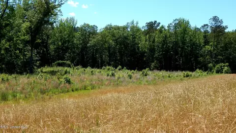206 Hugh White State Park Rd, Grenada, MS 38901 photo 11