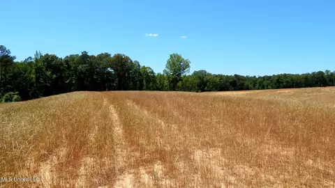 206 Hugh White State Park Rd, Grenada, MS 38901 photo 10