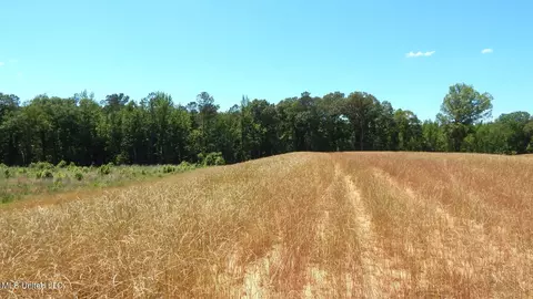 206 Hugh White State Park Rd, Grenada, MS 38901 photo 6